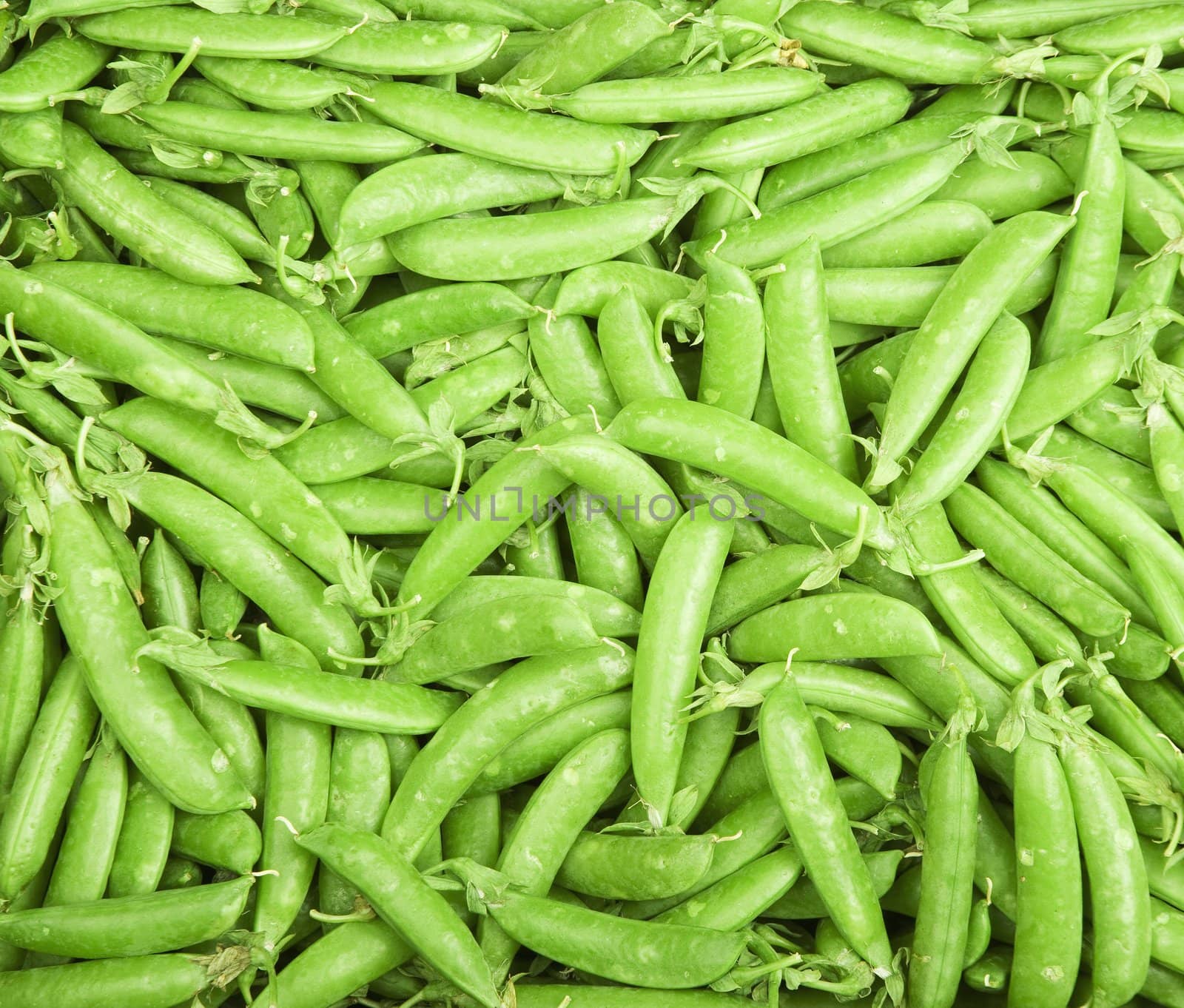 Frame filled with bright green pea pods