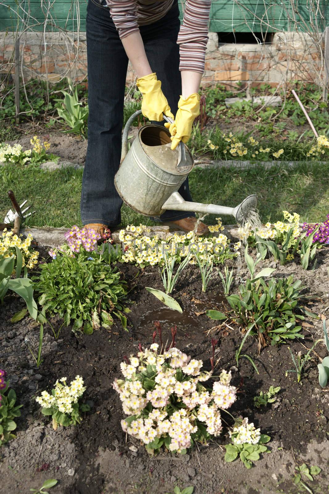 Woman is spreading of water in the garden