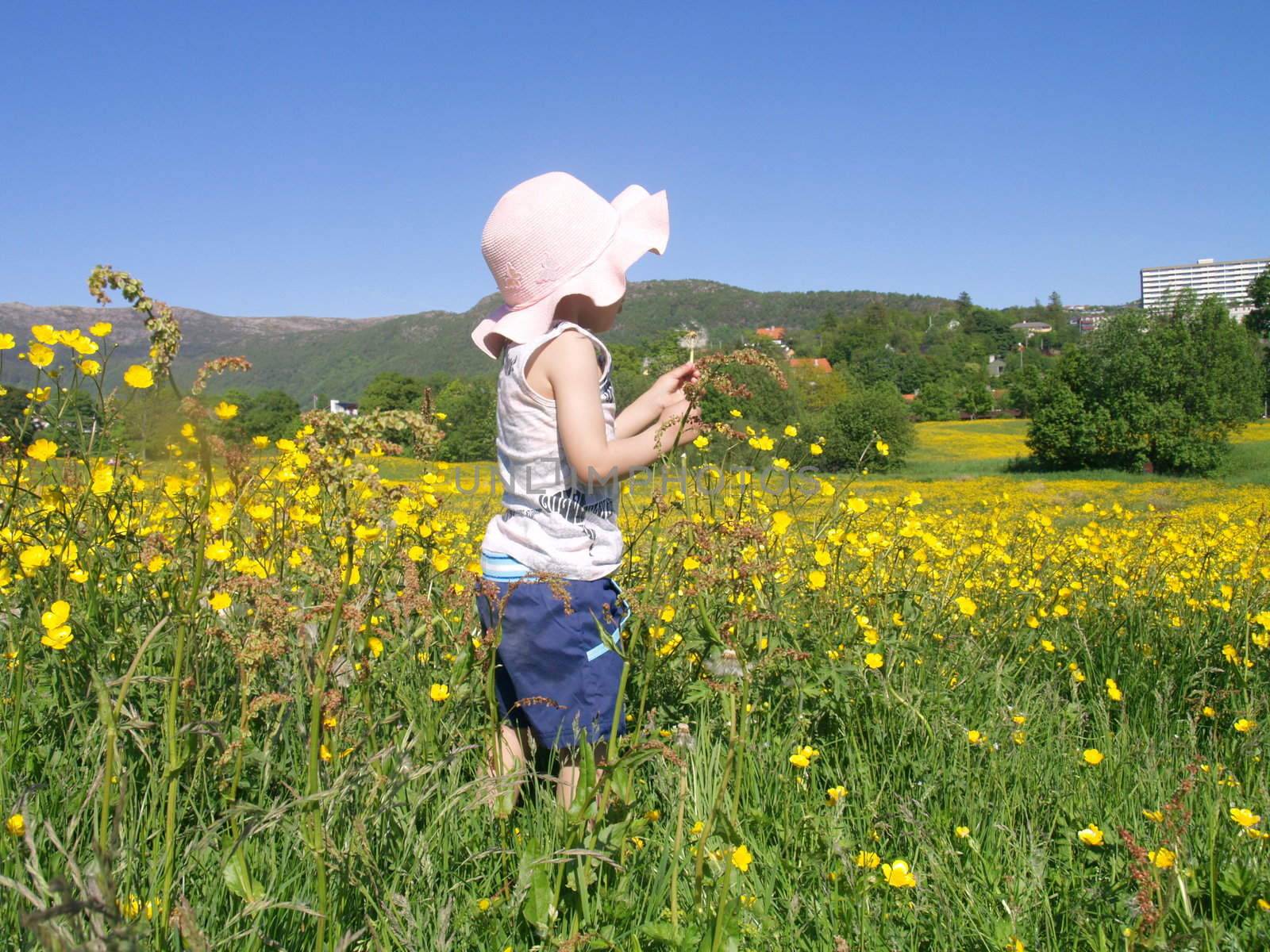 small girl with dandelion in flower field