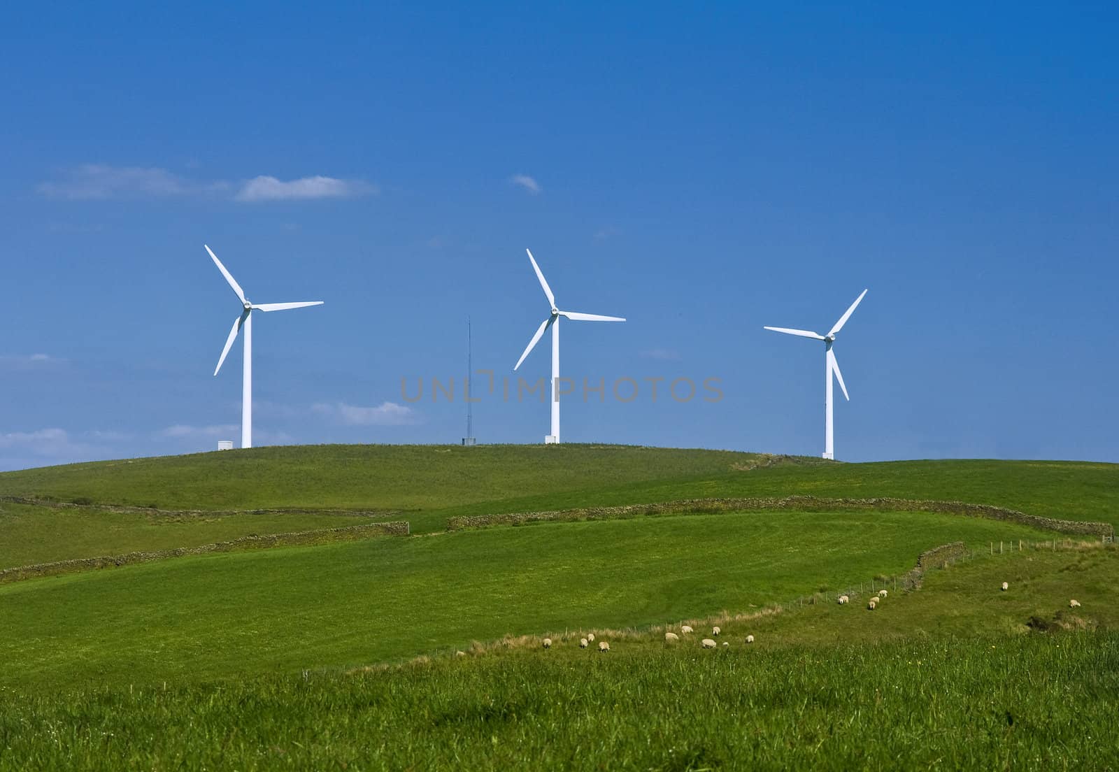 Wind turbines farm on the hills in Wales, UK. Alternative energy source. 