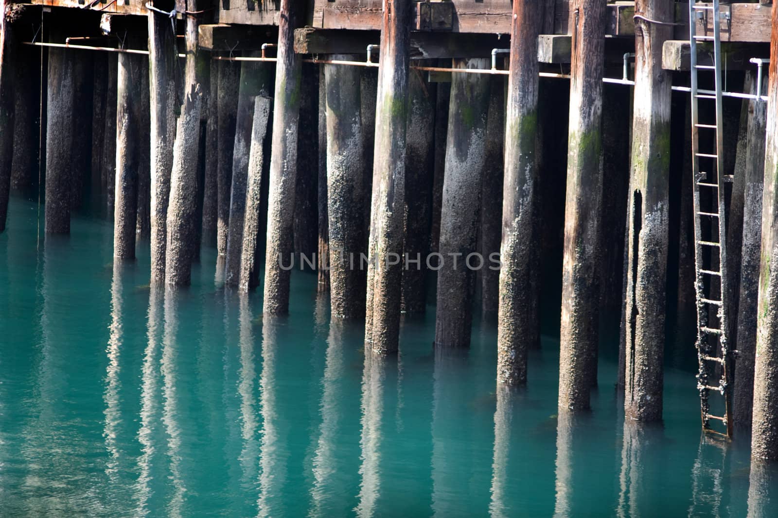 Seattle Boardwalk Pier with reflections on the aqua blue water beautifully composed with a dock ladder down the right edge
