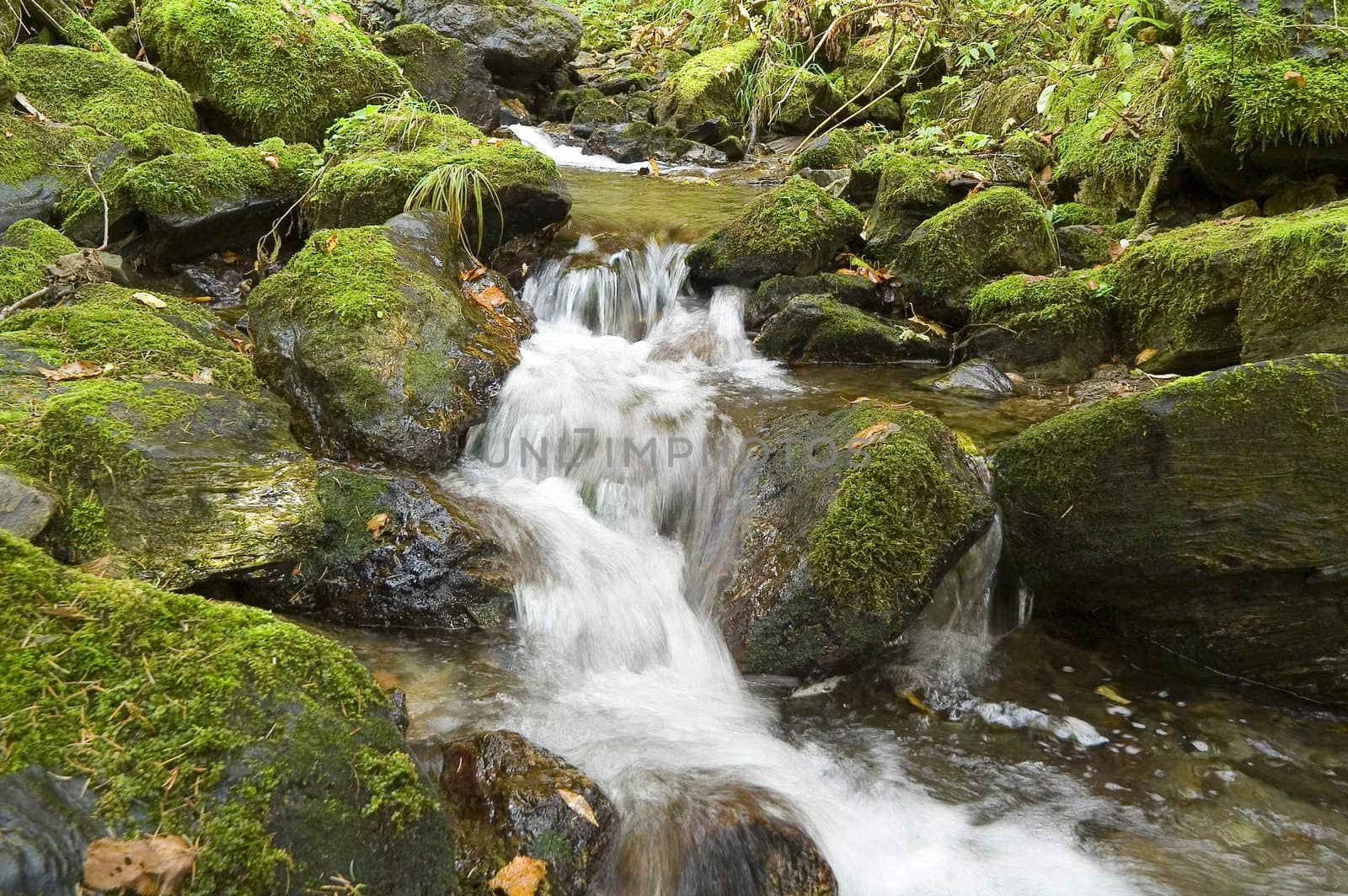 Stream of water by Bizon