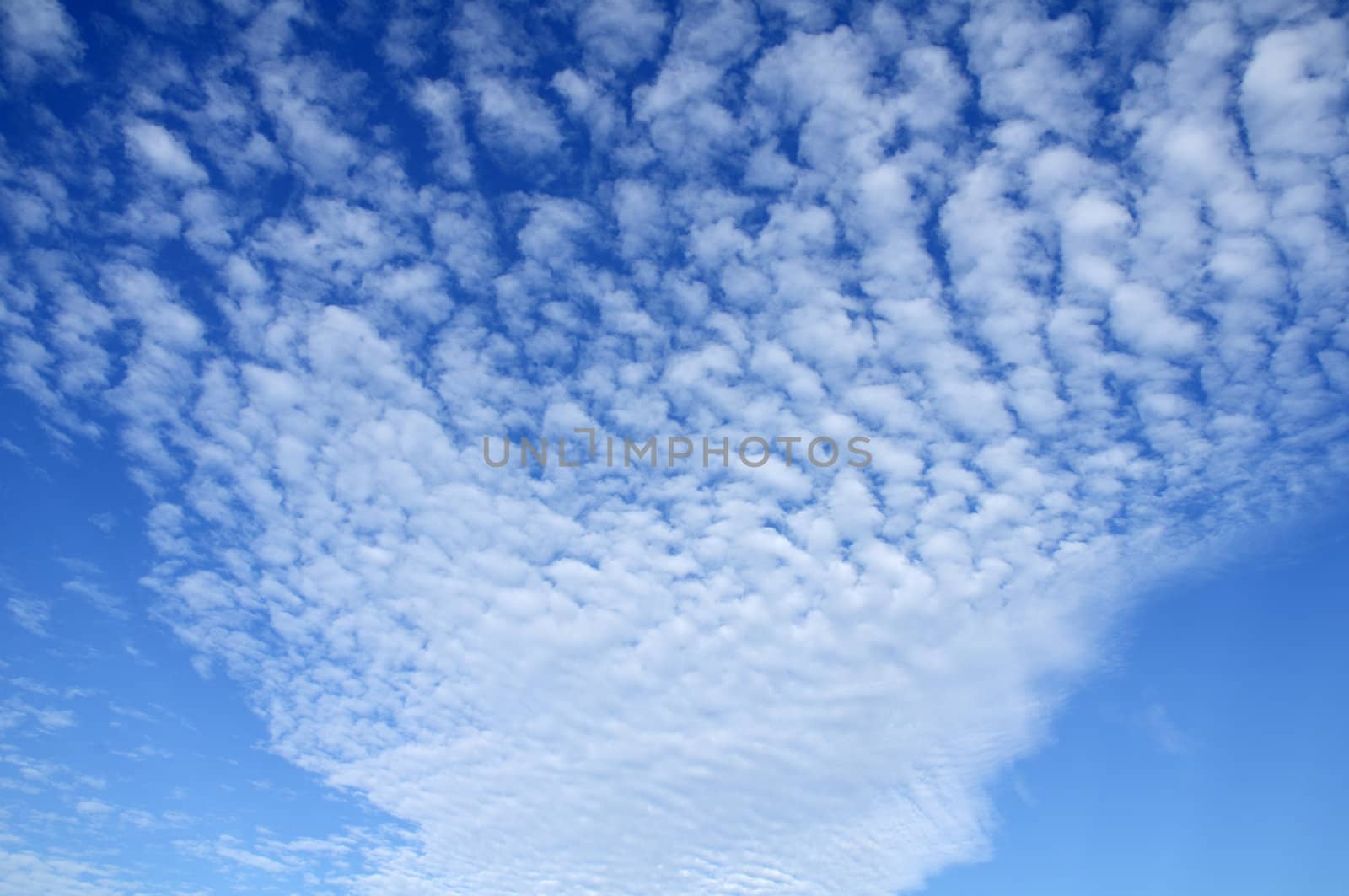 A beautiful natural early morning cloud pattern.