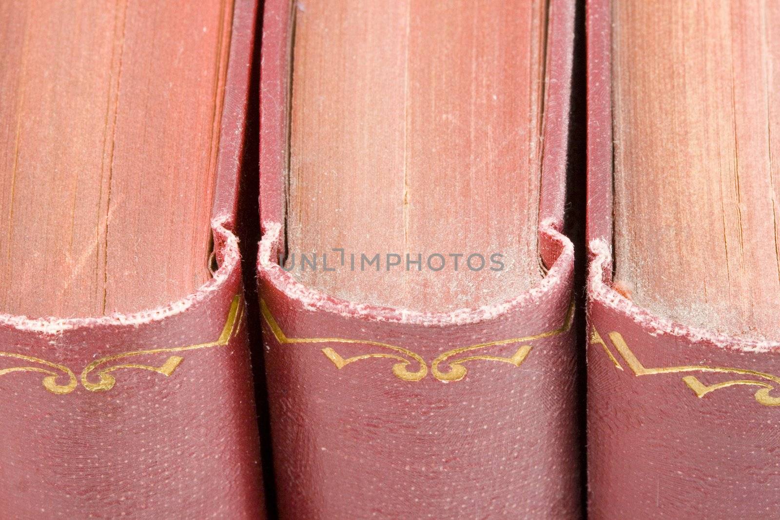 a row of very old dusty books- close up