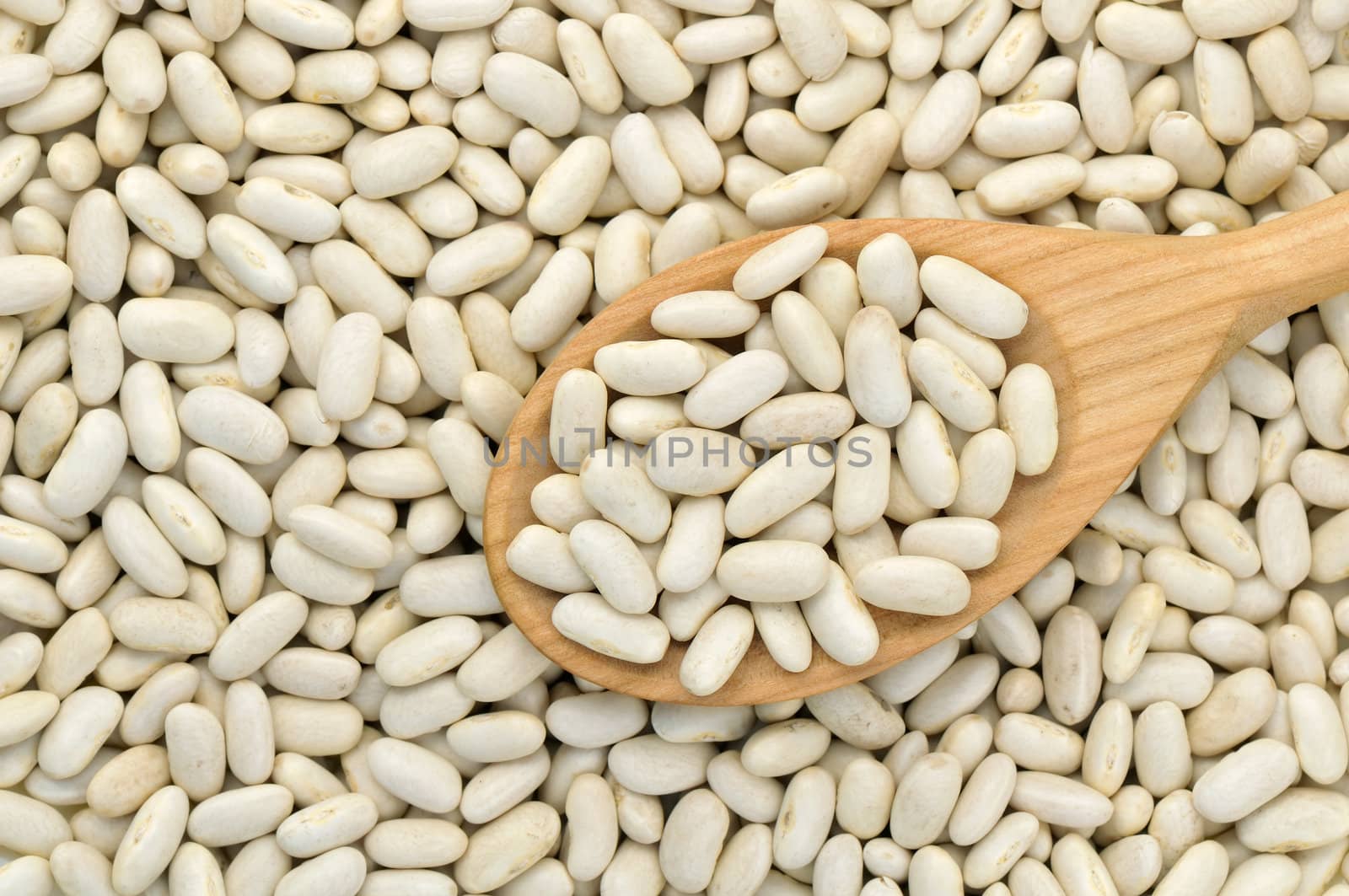 Wooden spoon filled with white beans in natural light