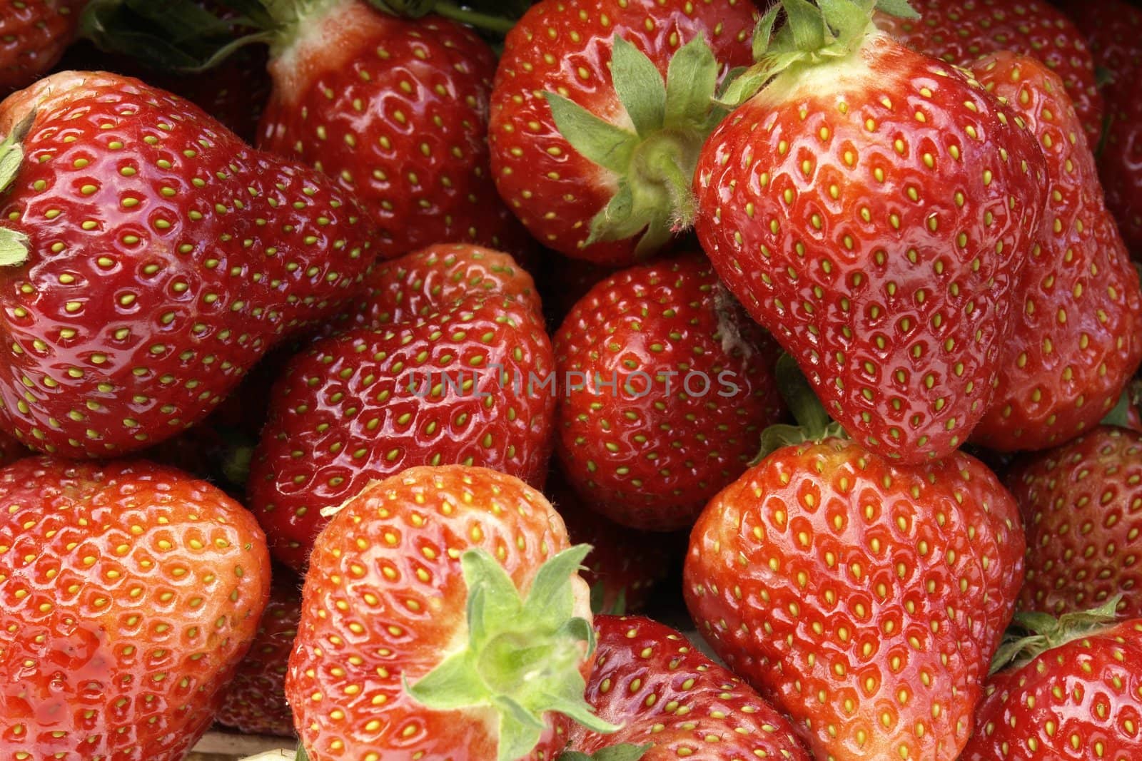 basket full of strawberries 