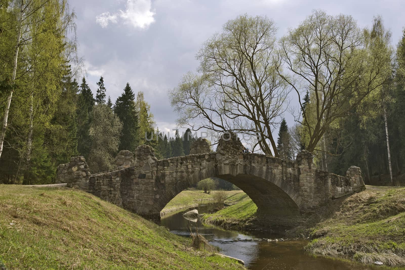 Ancient stone bridge by mulden