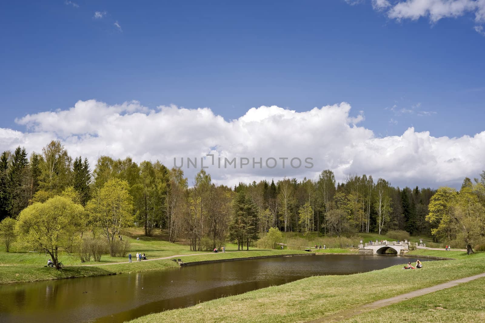 A bright sunny day in the spring park near river