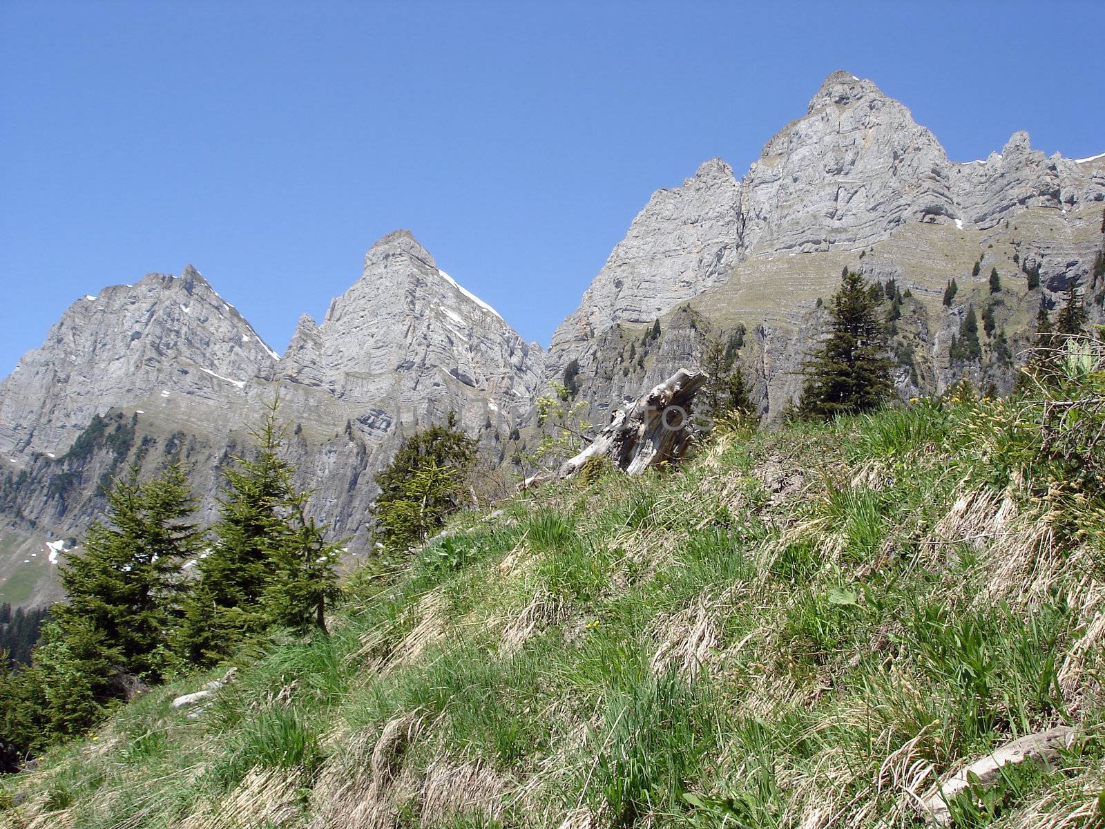 Tooth-like Ridge Of Churfirsten Massif by mmgphoto