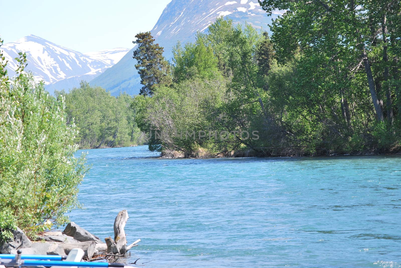 Summer on the Kenai River in Alaska by WKMarvin
