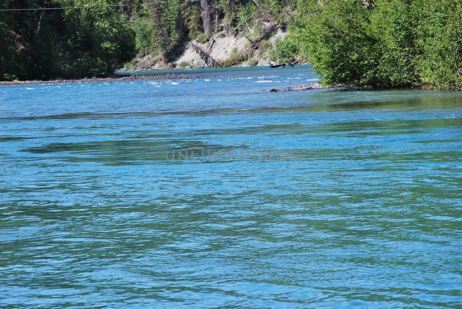 Showing the teal blue waters of the Kenai River in Alaska