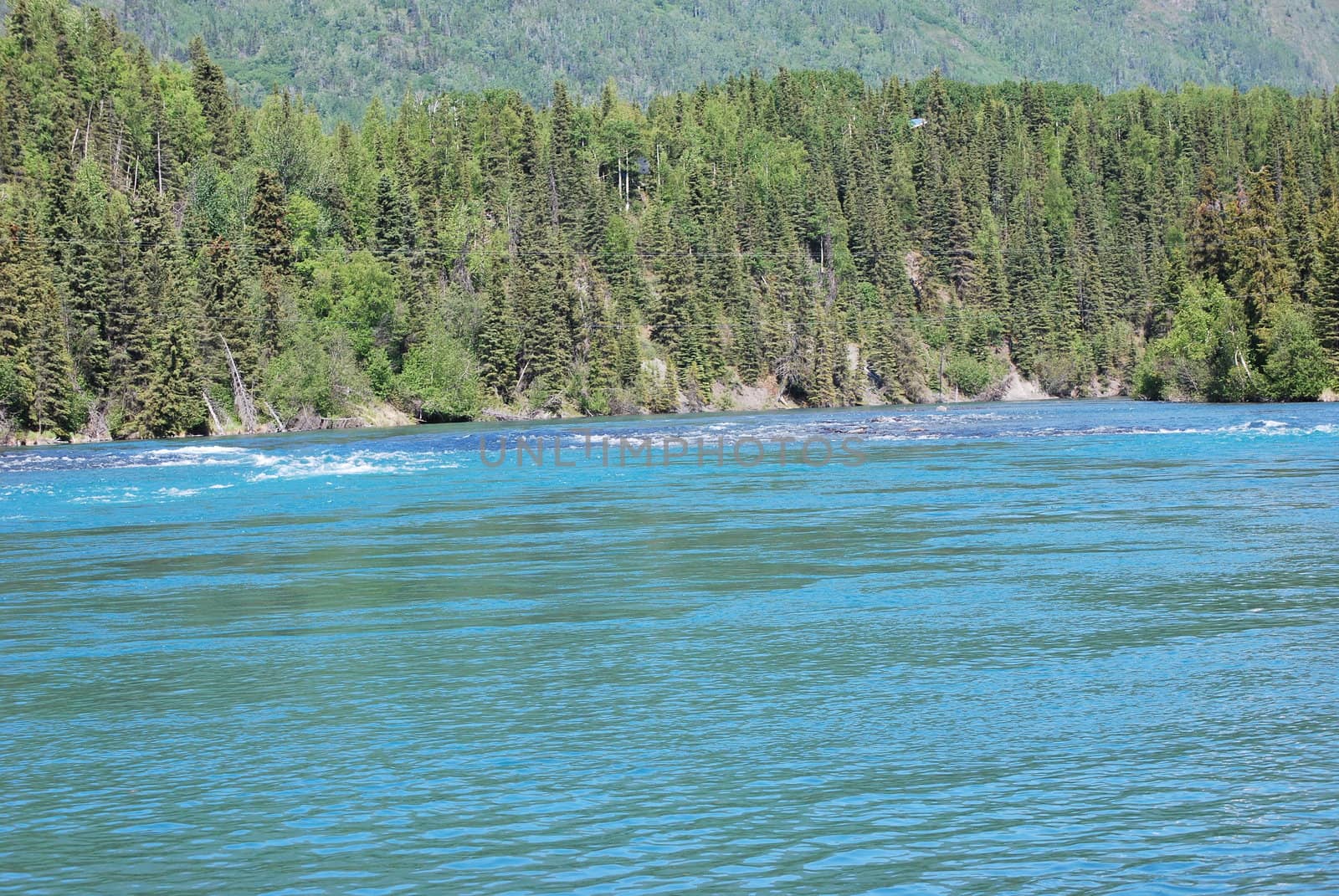 A section of the Kenai River in Alaska
