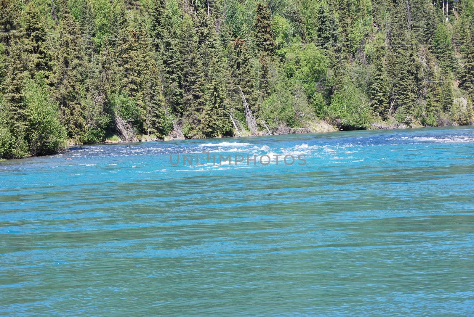 A small rapid on the Kenai River in Alaska