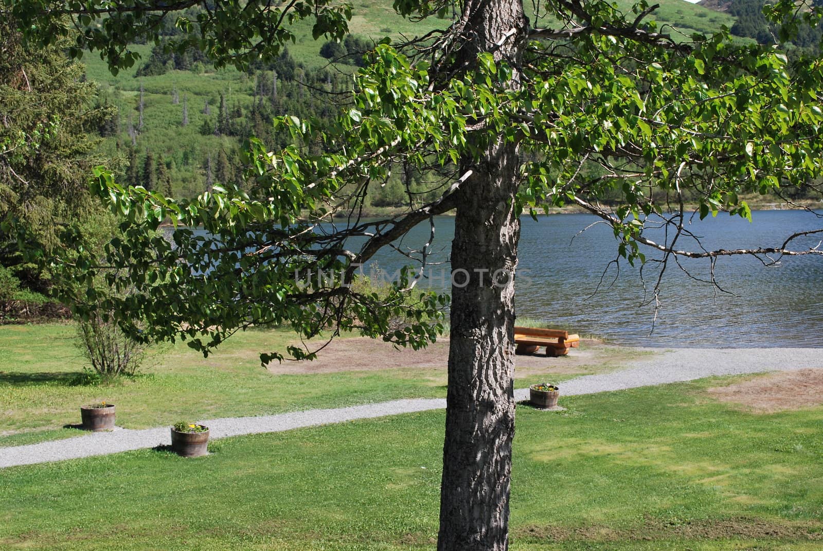 A grassy area by a clear mountain lake