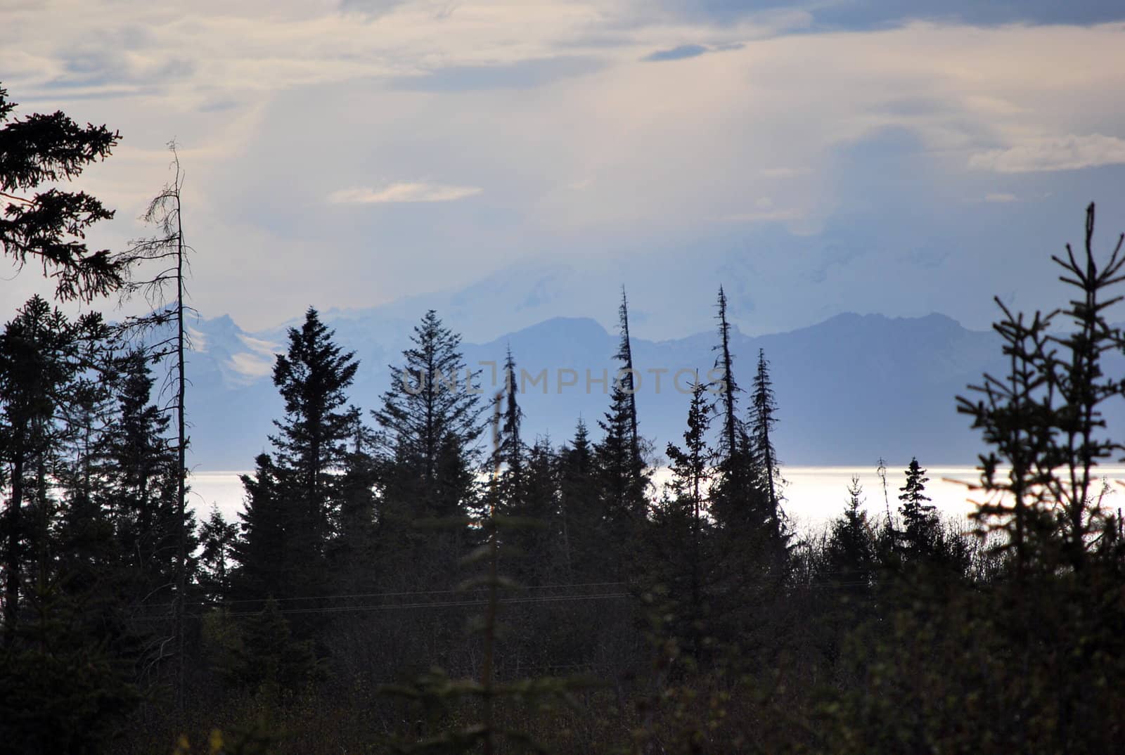 Mt. Illiamna across Cook Inlet, Alaska