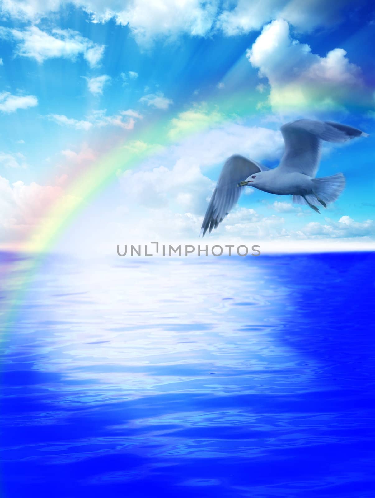Seagull over the waters by jarenwicklund