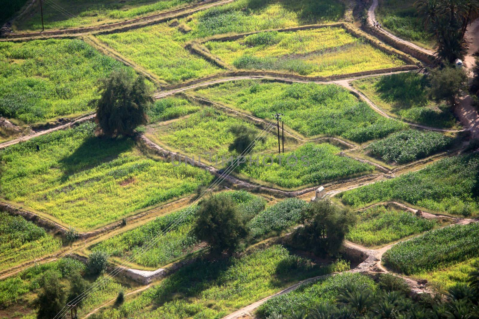 green fields view from above