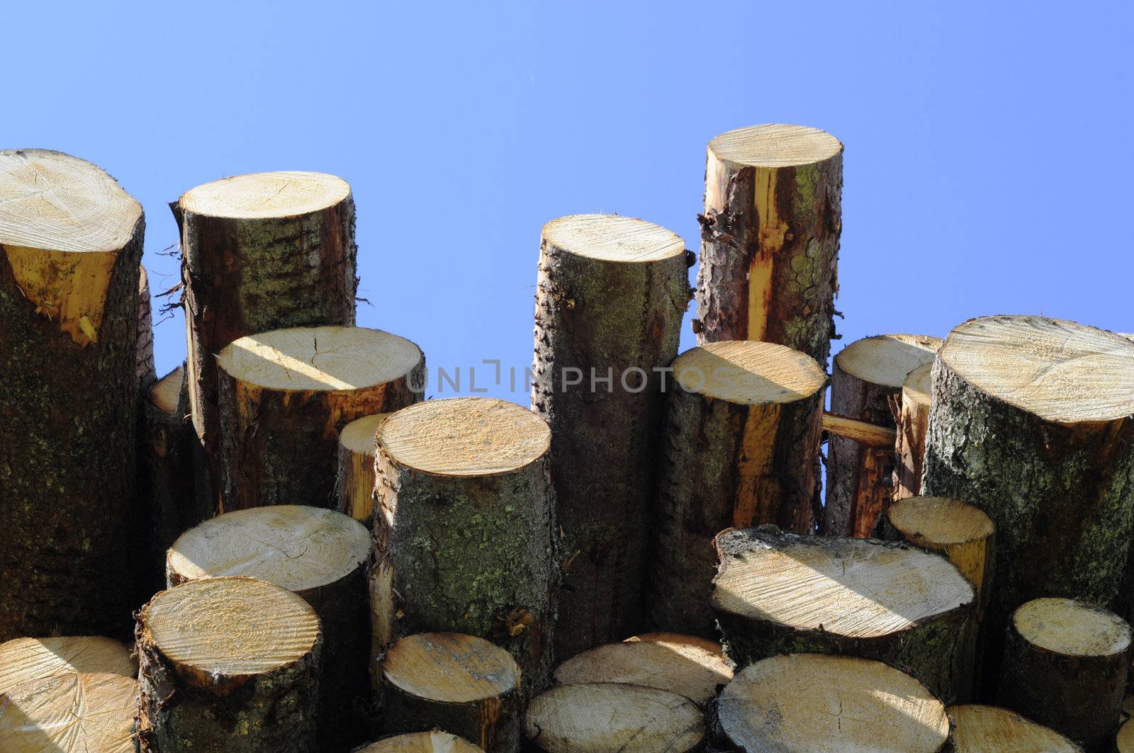 pile of timber and blue sky