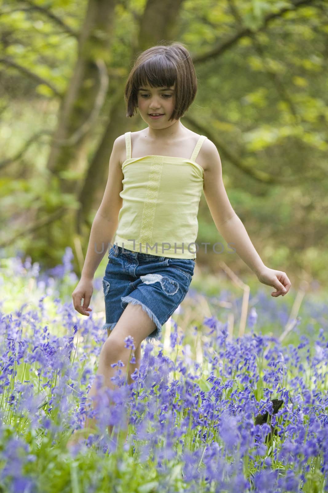 young female child walking through a field of bluebells