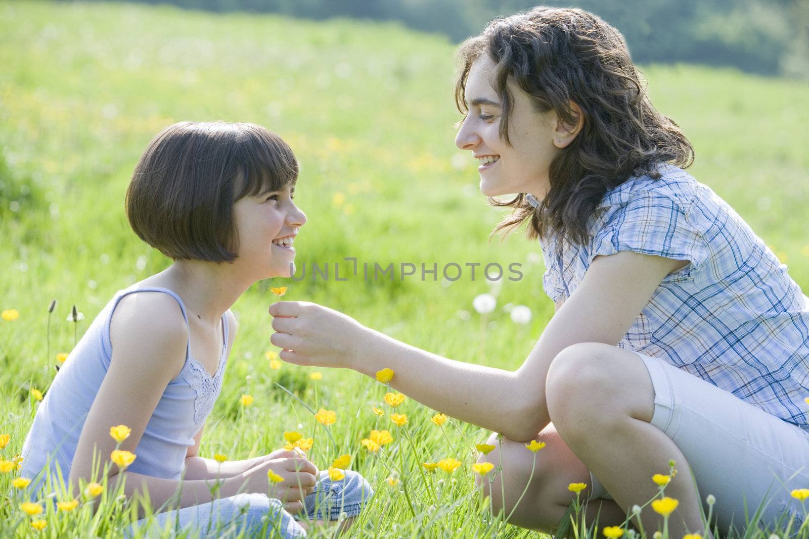 sisters sitting in buttercup field playing childhood games with flowers