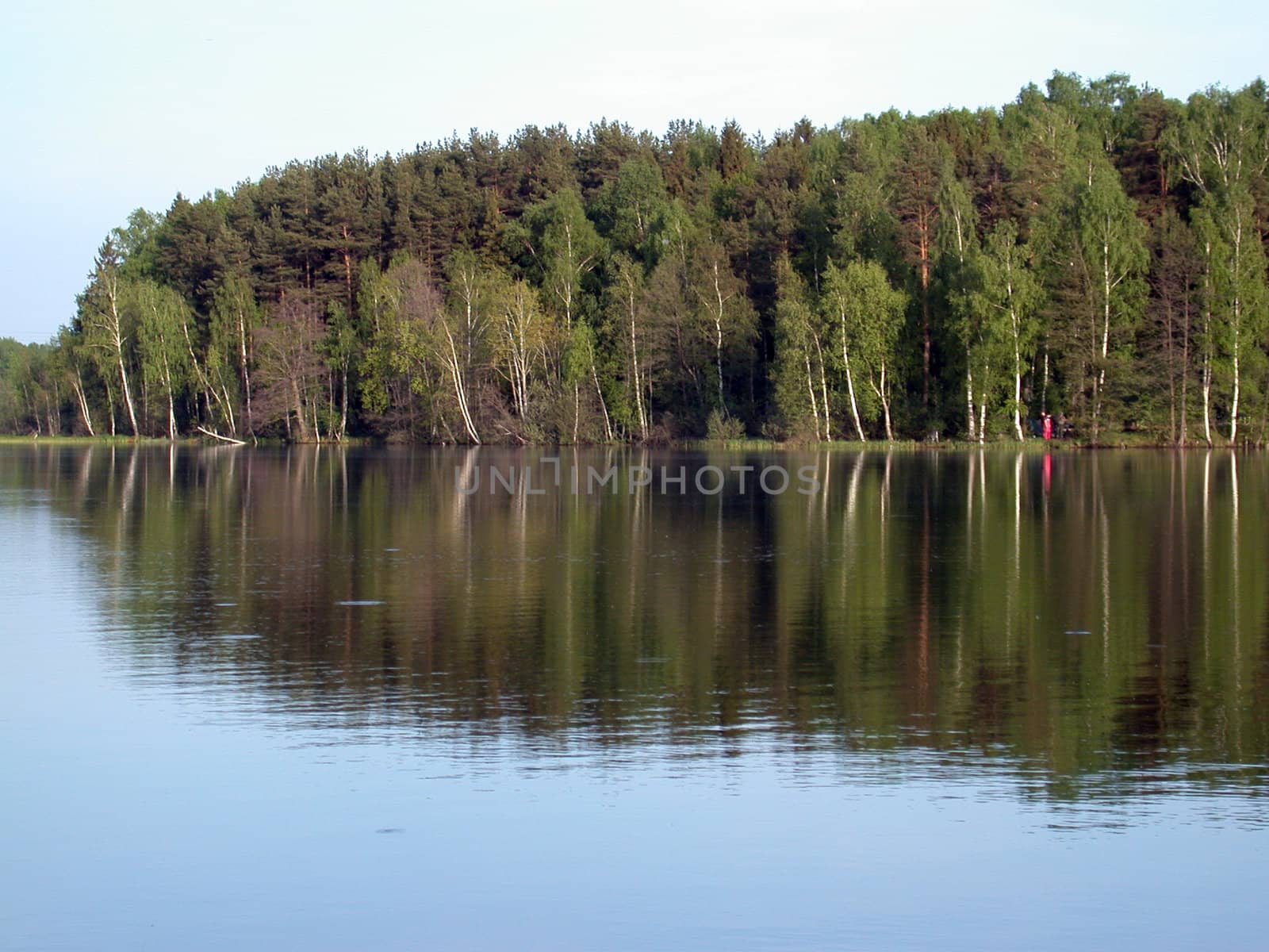 The landscapes, riverside, forest, Russian
