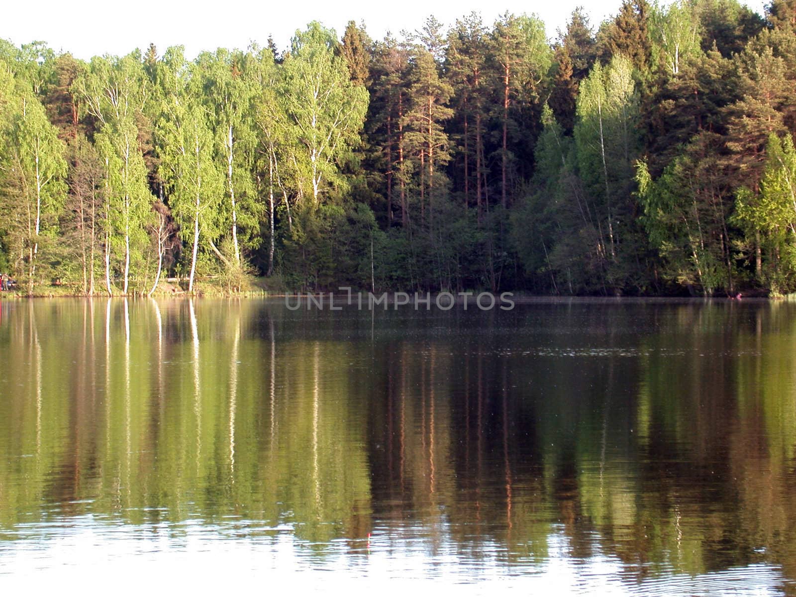 The landscapes, riverside, forest, Russian