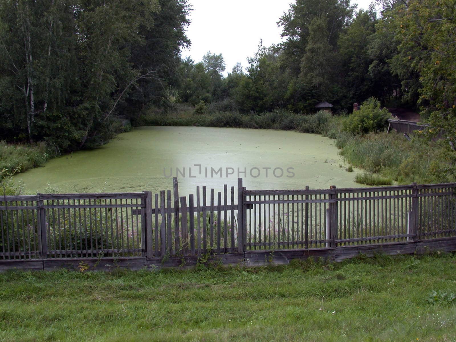 The abandoned pond. Nature. landscapes.