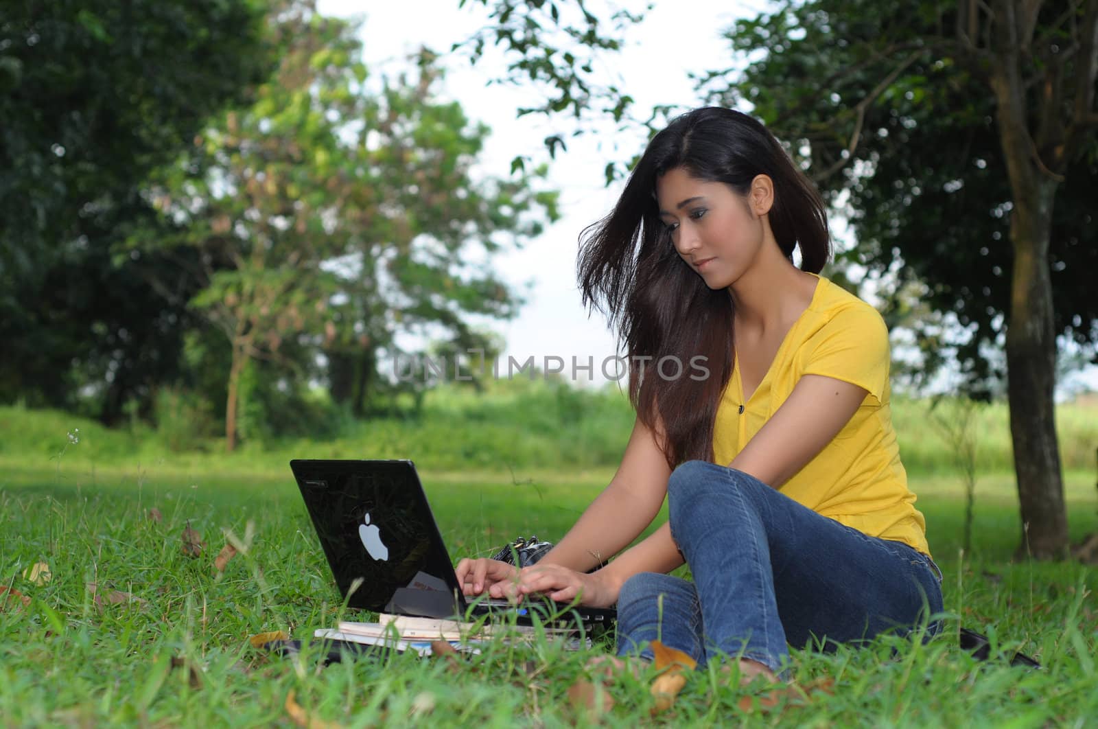 Beautiful girl sitting in a meadow and working with her laptop computer