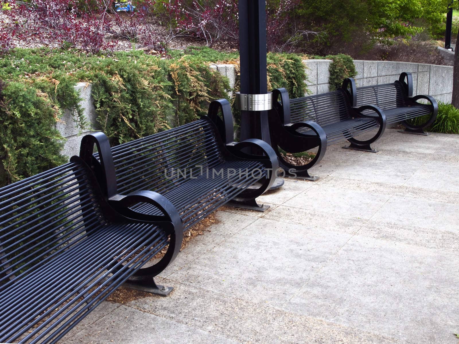 Row of Modern Benches by watamyr