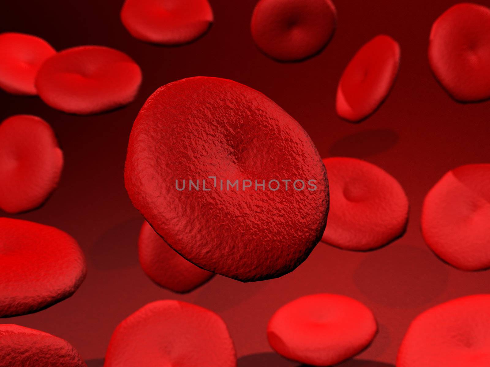 Red Blood Cells by magraphics