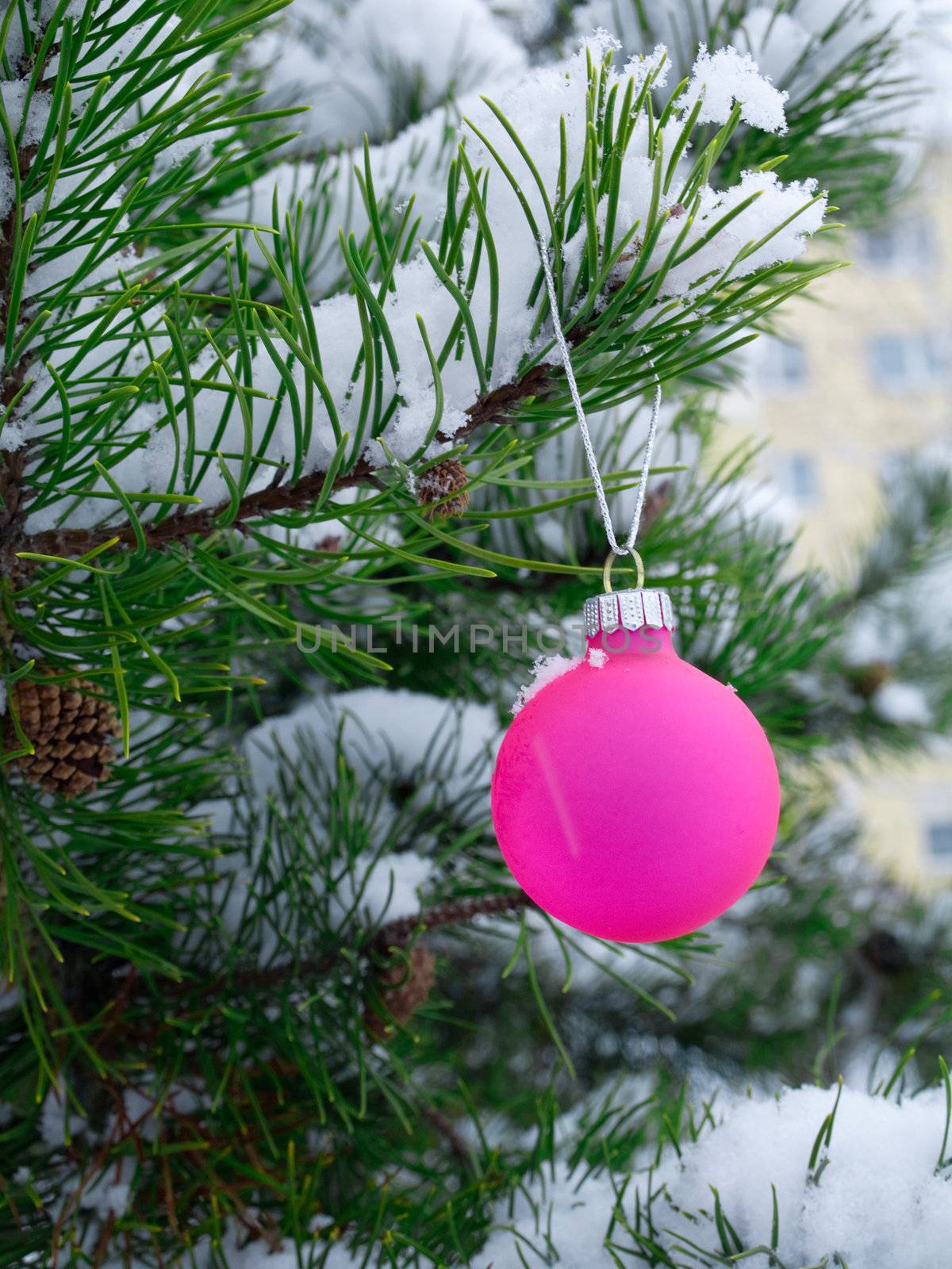 Christmas  decorations  on christmas tree  by motorolka