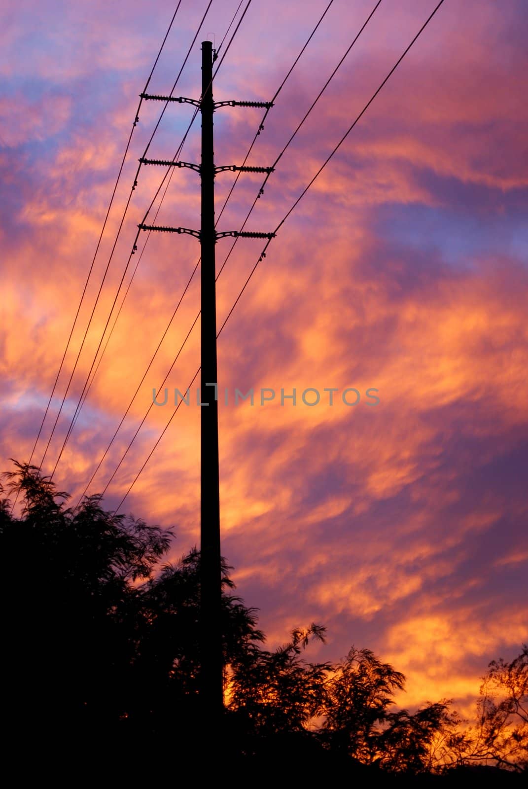 Powerlines at sunset.