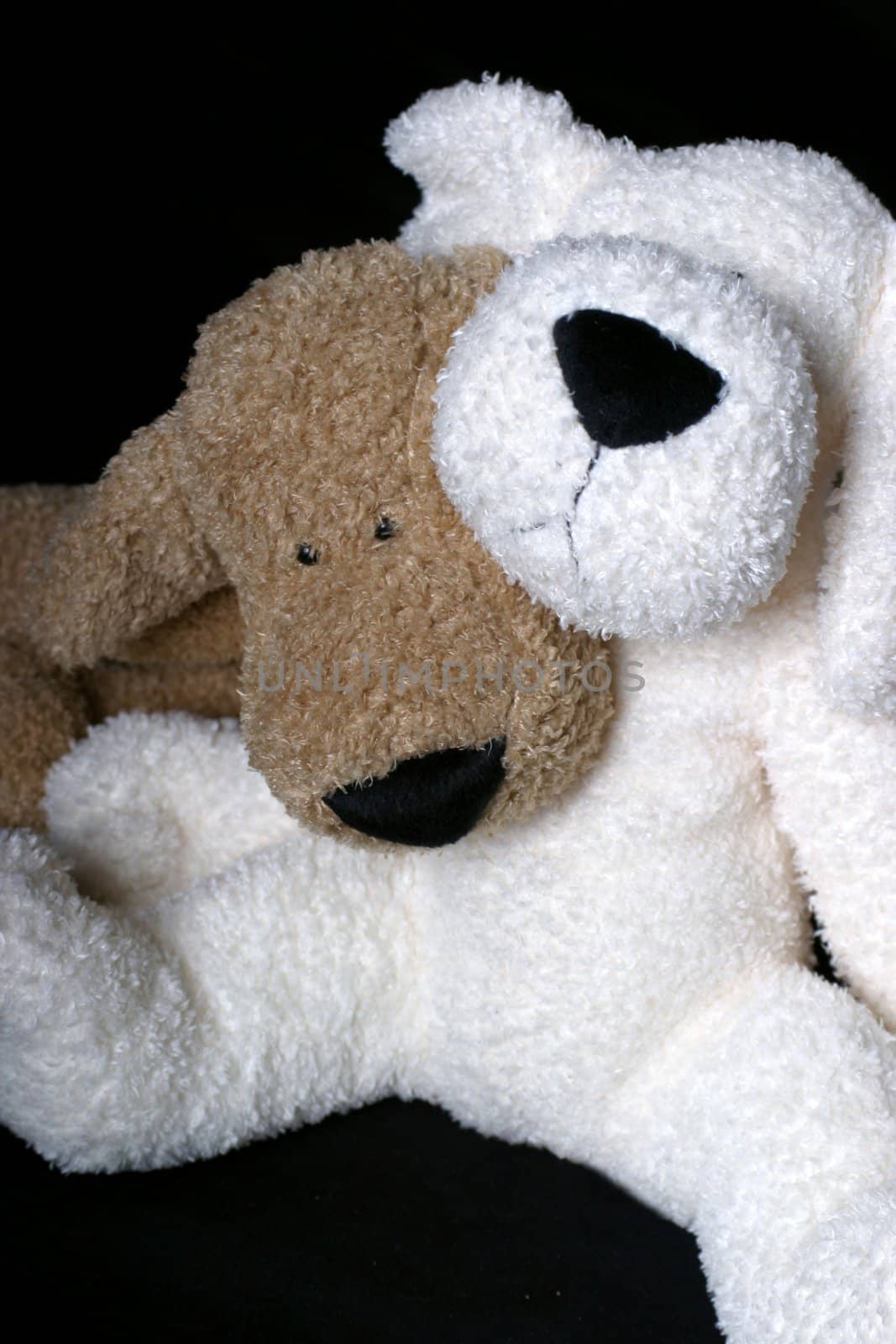 Two stuff dog, a brown and a white, hugging each other
