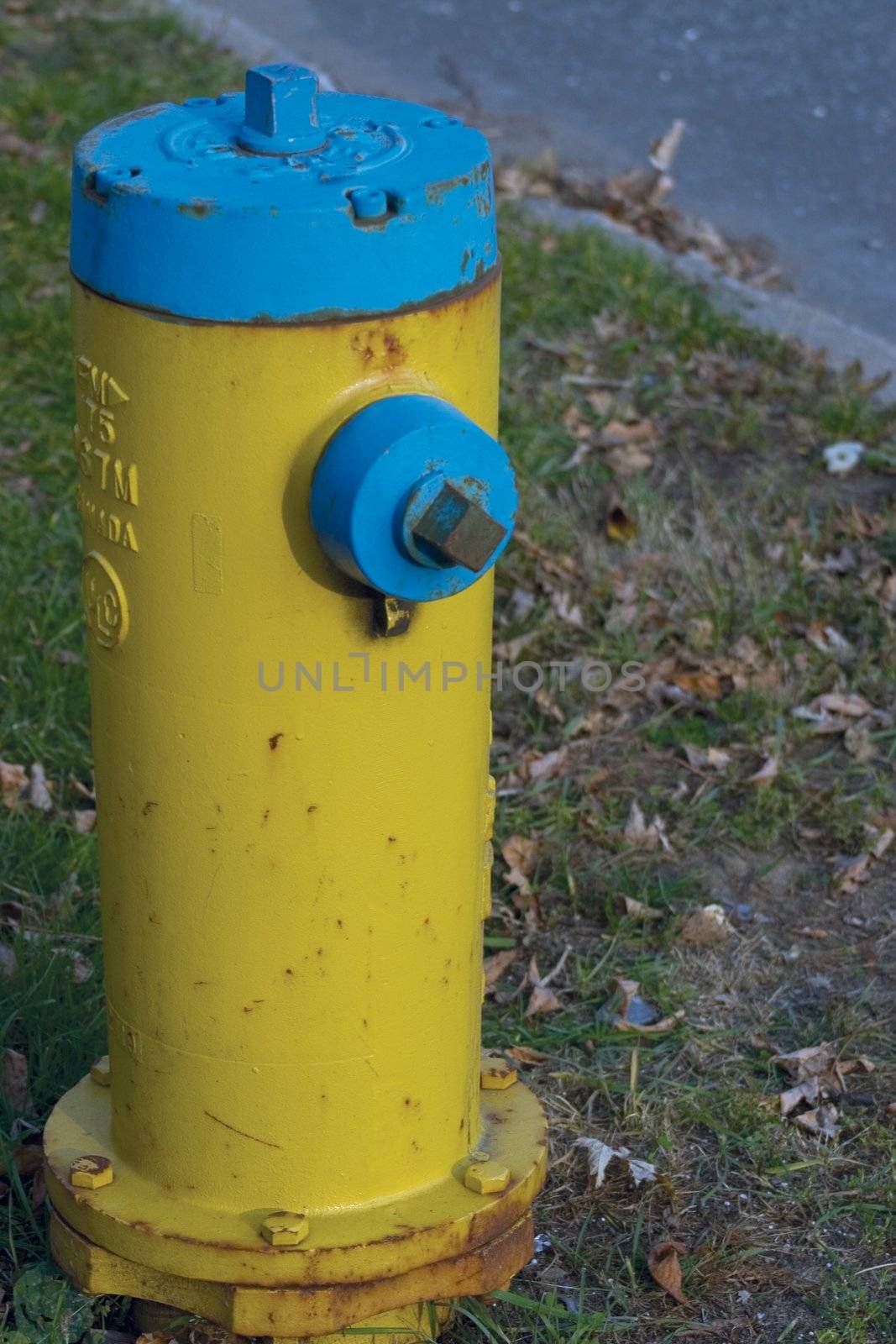 Yellow and blue fire hydrant on side of the road that can be found in Trois-Rivi�re