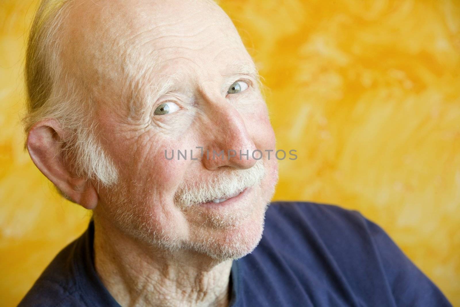 Portrait of an elderly man against a yellow background