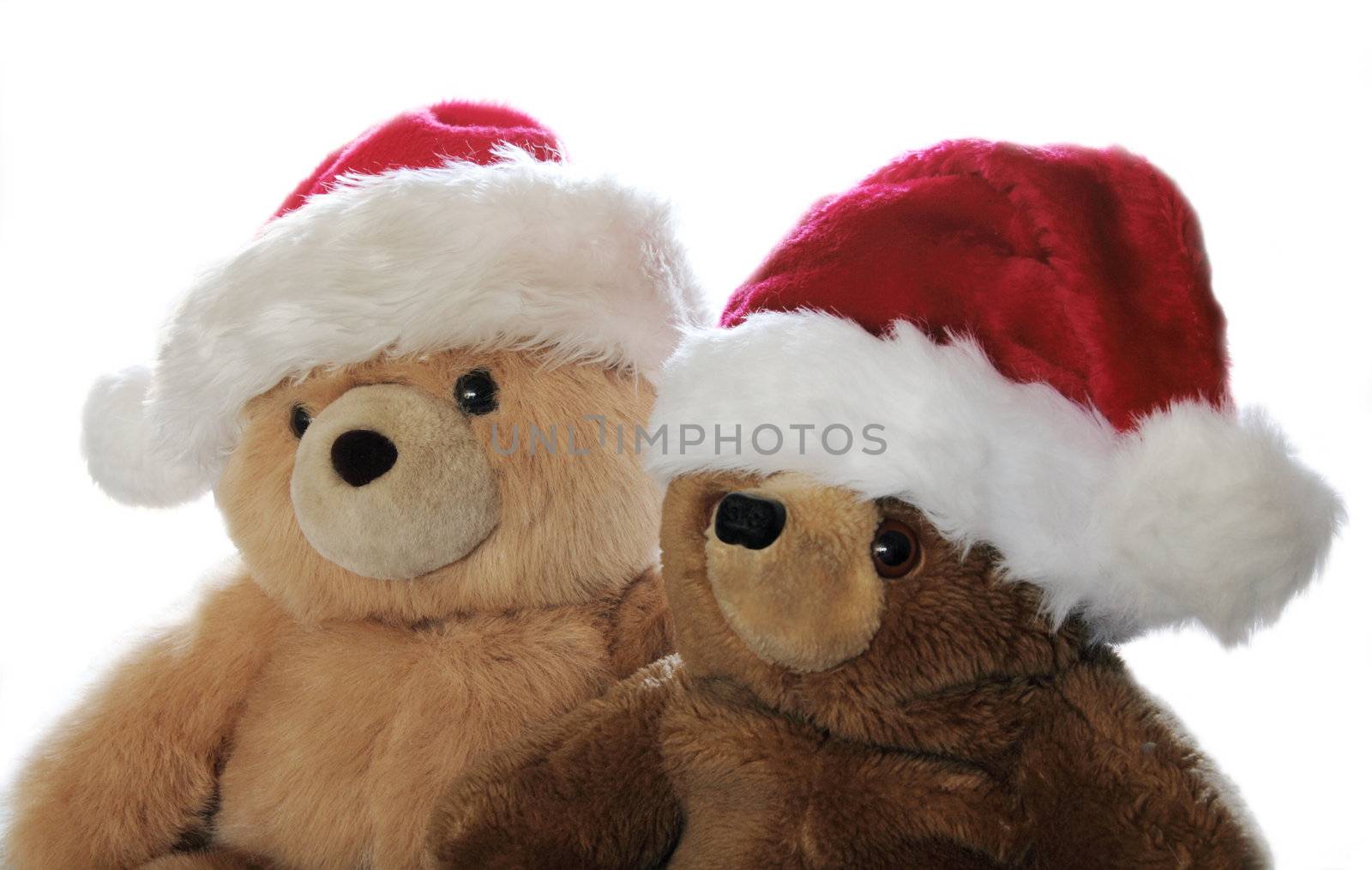 two plush bears wearing furry Santa hats