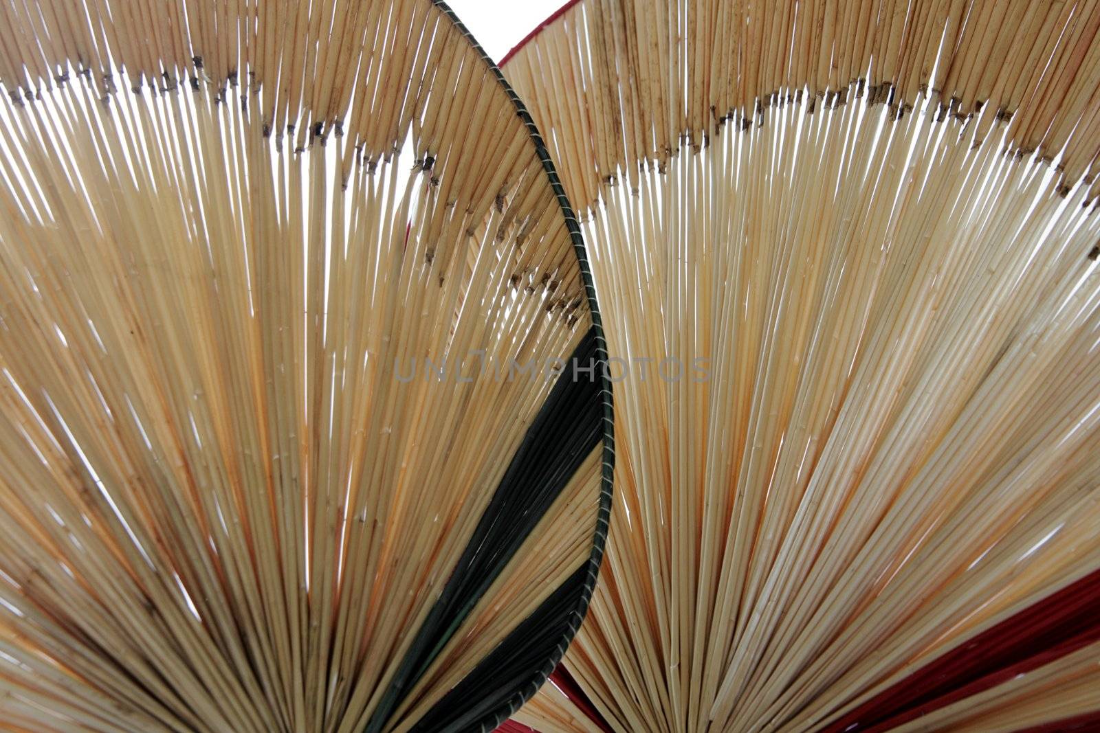 two Chinese hand fans in shades of beige and tan