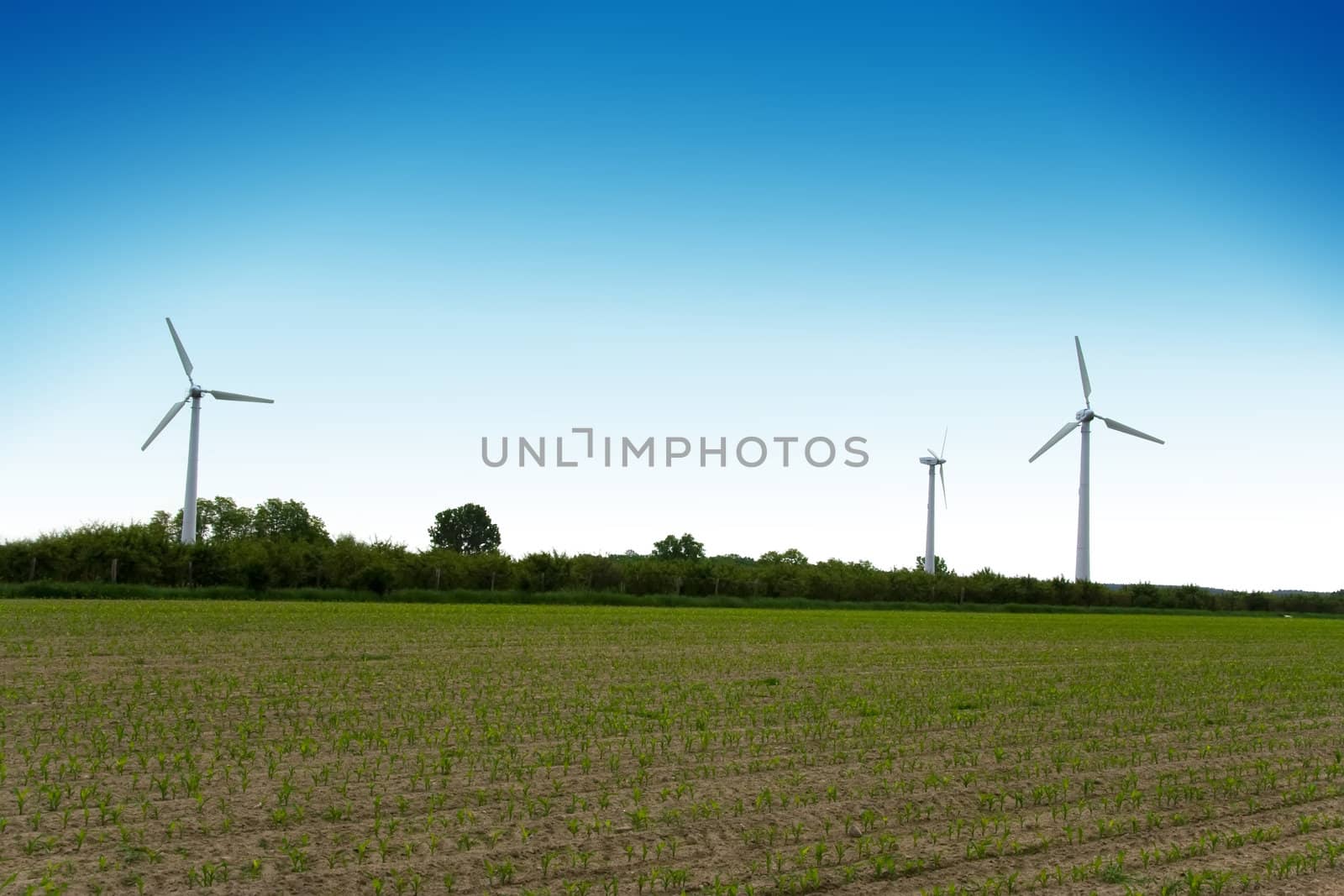 Wind turbines farm on field. Alternative energy source.