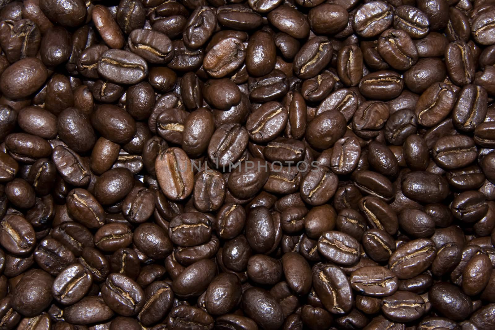 Brown coffe beans texture background