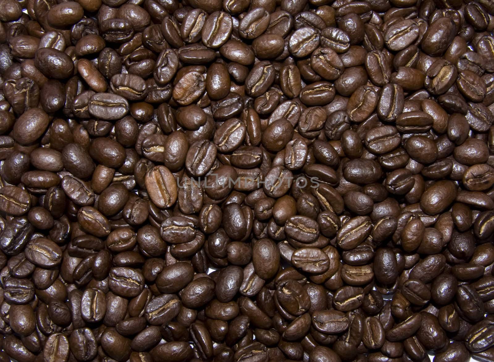 Brown coffe beans texture