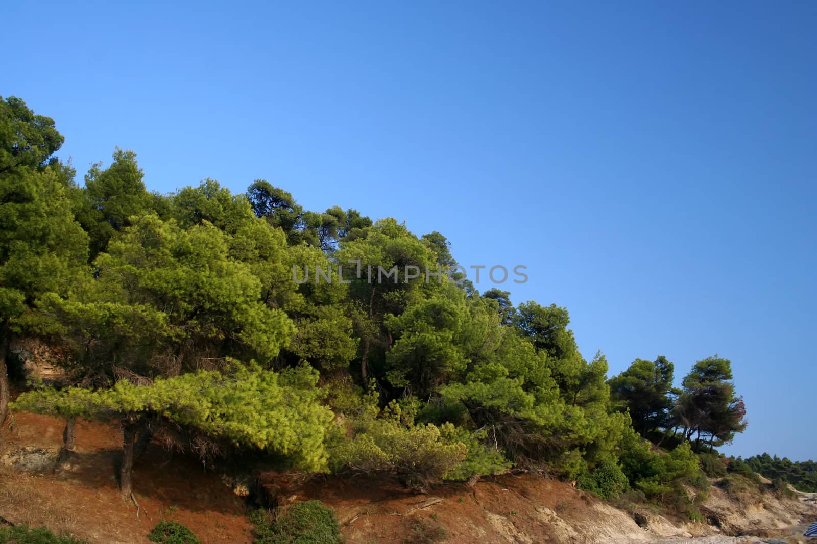 Sea green shore over blue sky