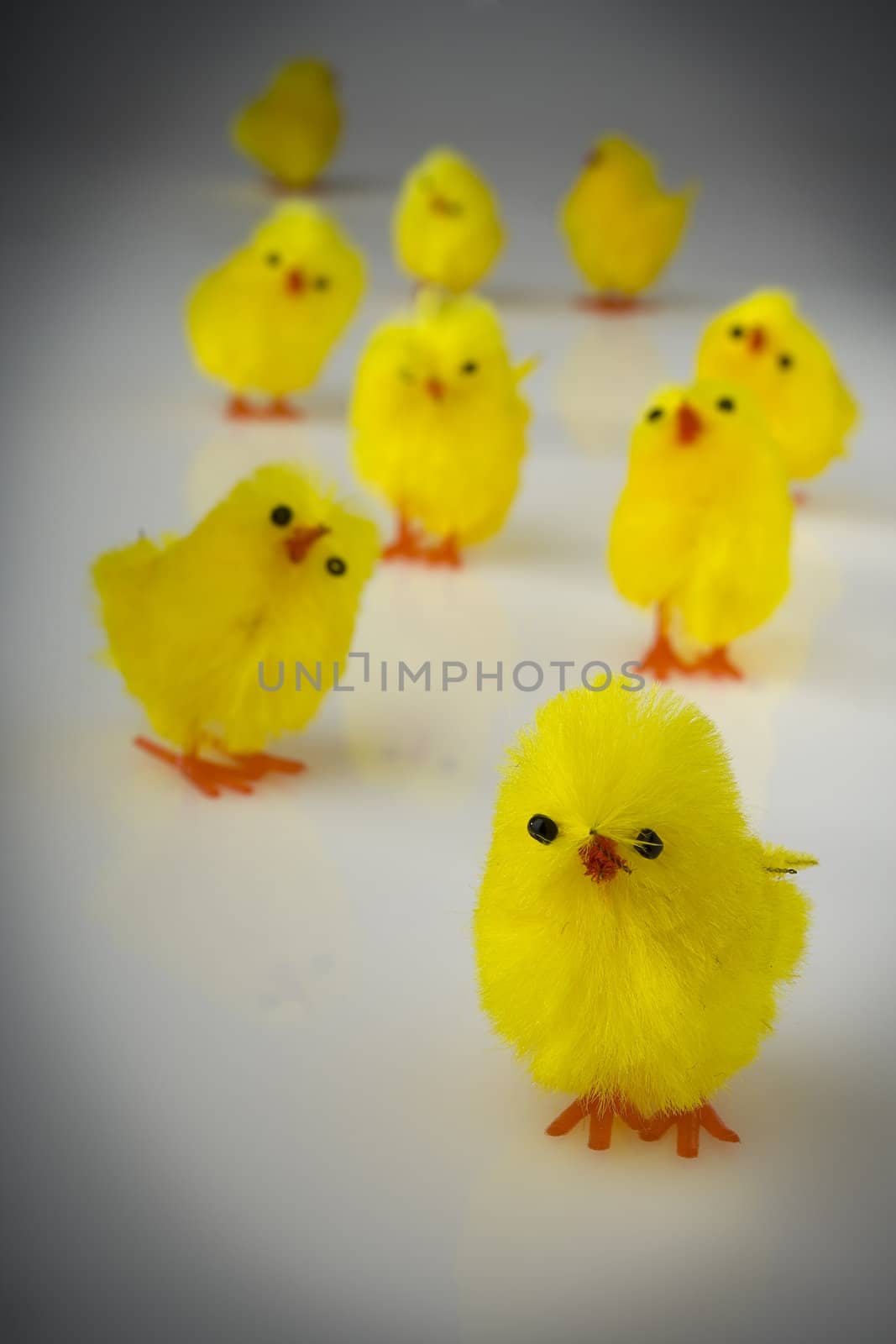 Yellow easter toy hens on the reflective background