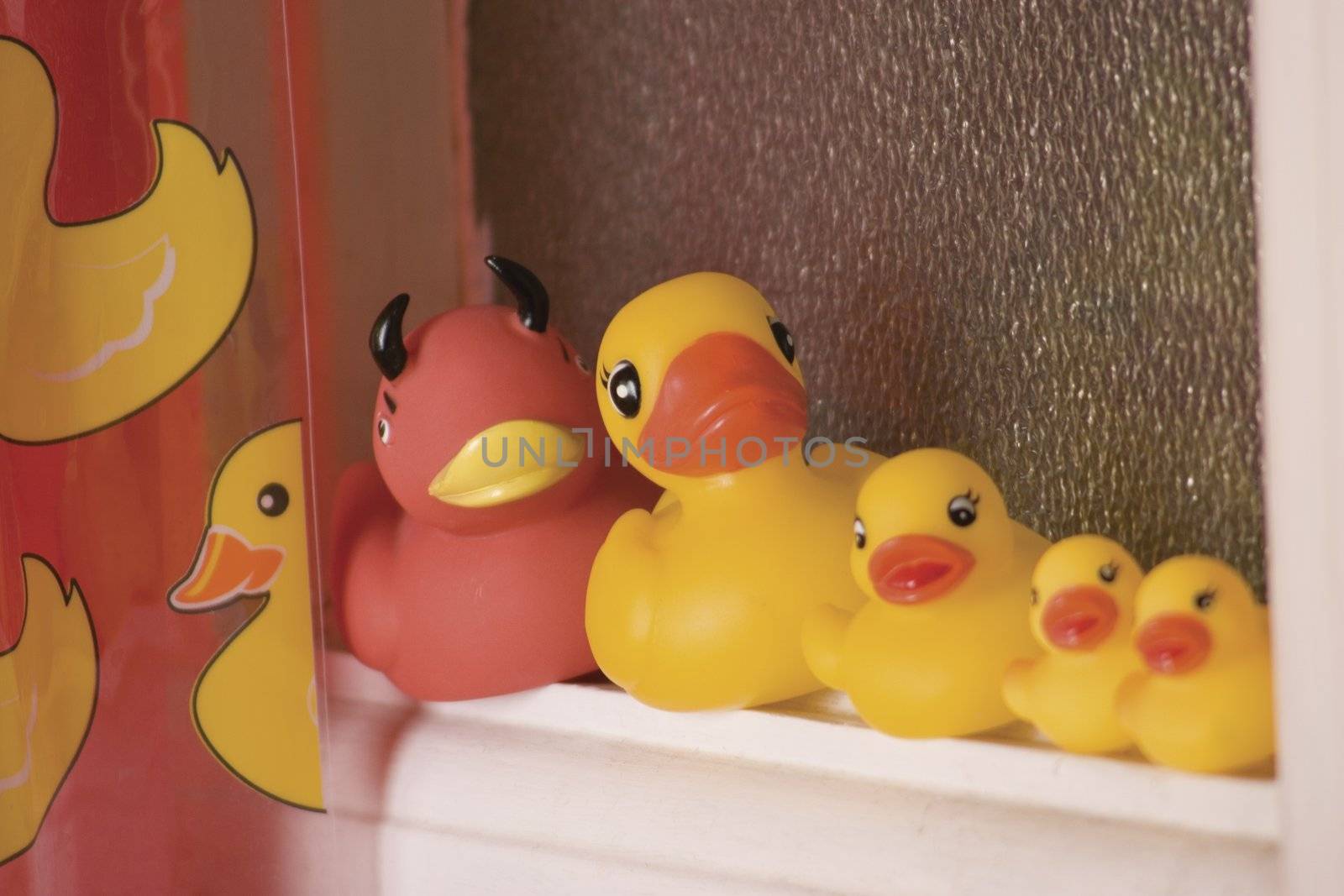 Line of rubber ducky place on bathroom window ledge