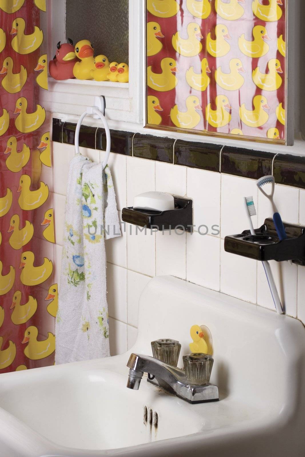 Appartment bathroom decorated with a rubber duck theme