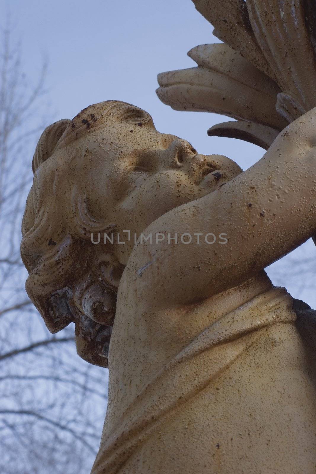 Close up of a cherubin statue
