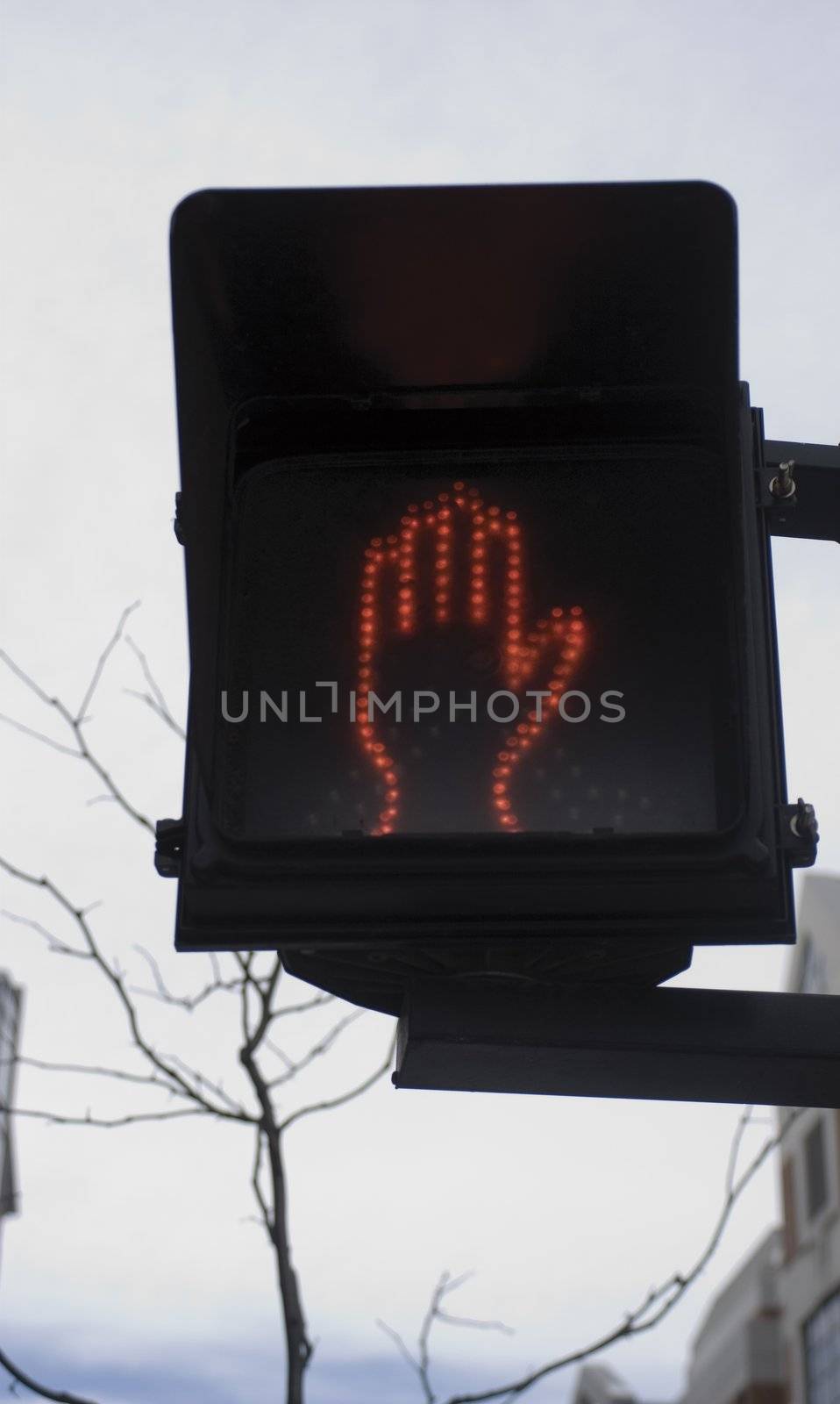 Crossing Walk Signal in winter