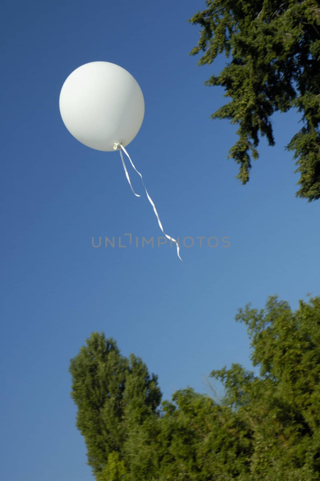 A child's balloon floats away into a clear blue summer sky. 