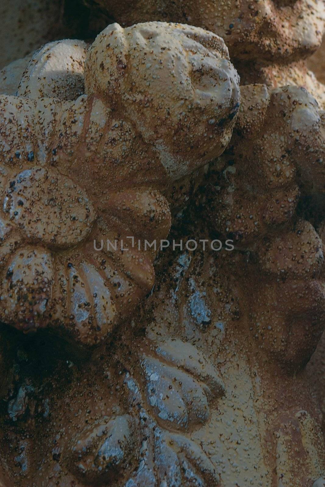 Close up of a ciment sculpture