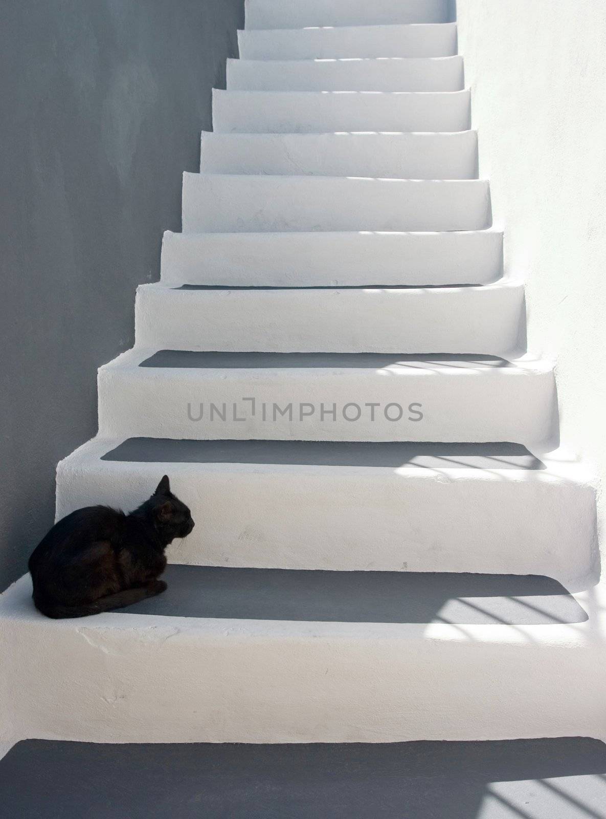 Black cat sitting on the stairs