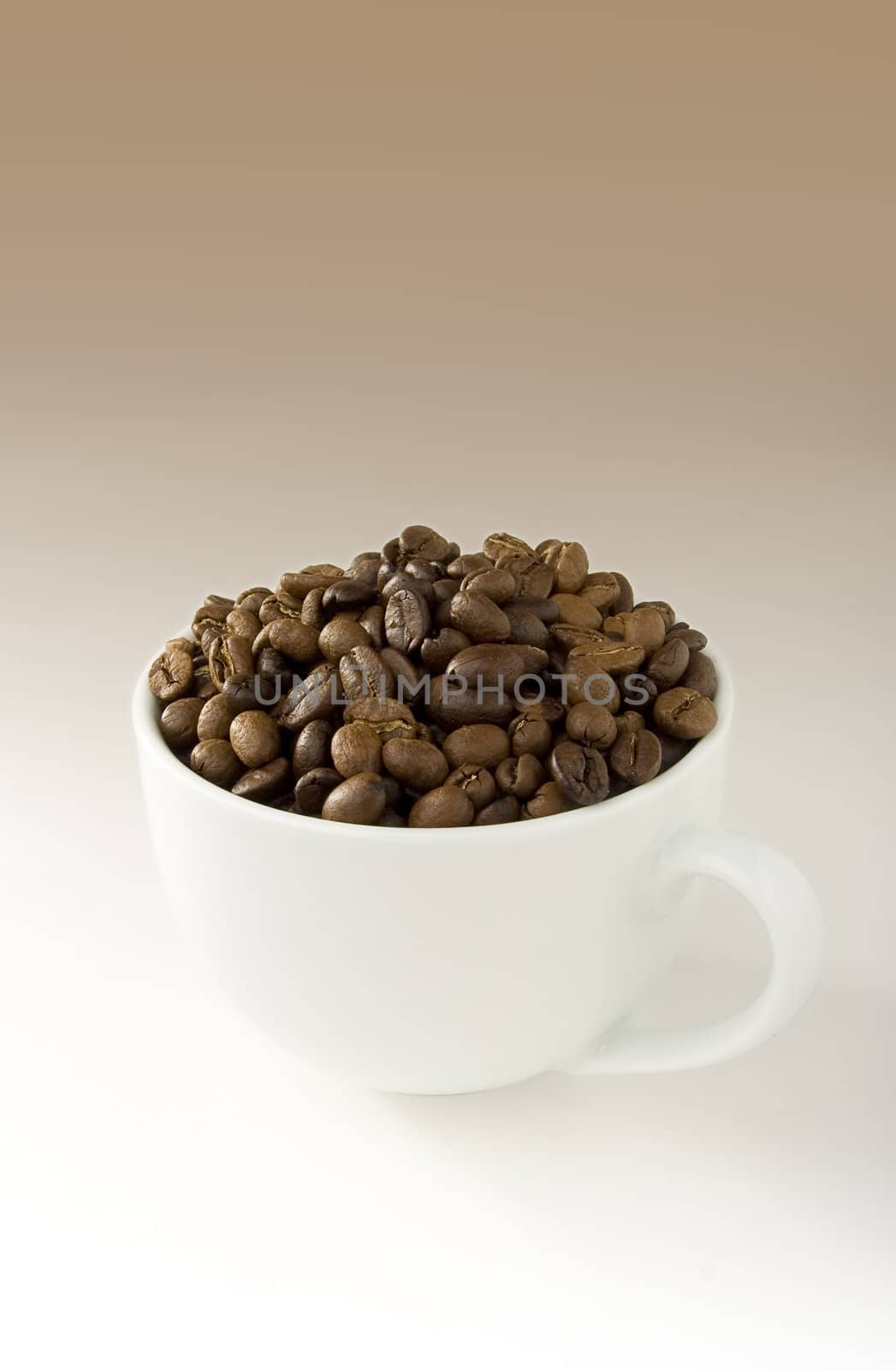 White coffee cup filled with coffee beans on white-brown gradient background.